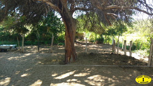 2401hp-hosteria Campo Valles Calchaquies