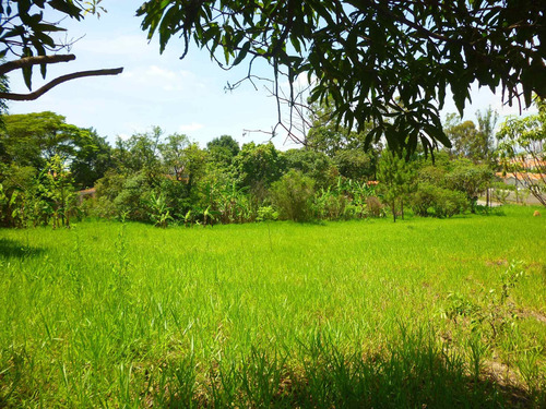 Imagem 6 de 18 de Terreno A Venda, Colinas De Indaiatuba Ii, Indaiatuba - Tr01631 - 4229513