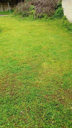 Terreno Privado De 2014 M² En Los Saucos, Fácil Acceso