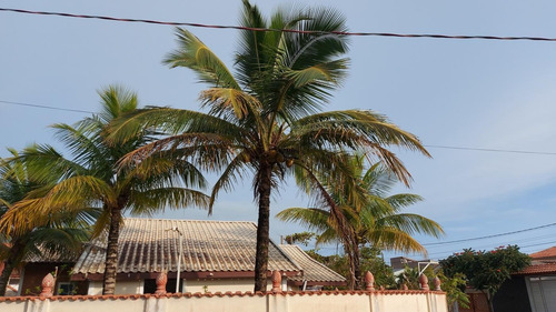 Imagem 4 de 15 de Casa Para Venda Em Itanhaém, Jardim Regina, 2 Dormitórios, 2 Banheiros, 4 Vagas - It884_2-1470699