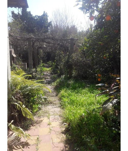 Imagen 22 de 23 de Casa Con Excelente Lote. Oportunidad! Nuevo Valor!!!