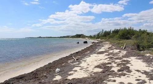 Imagen 30 de 30 de Terreno Con Playa, Bahia Petempich, Pto. Morelos, Quintana R