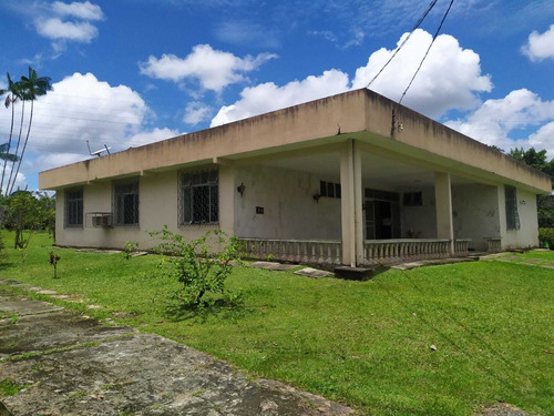 Imagem 15 de 16 de Chácara À Venda, Aurá, Ananindeua, Pa - Pa - Ch0001_four