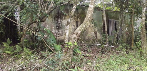 Imagem 5 de 6 de Terreno Com Casa Para Demolição Em Itanhaém 50 Mil