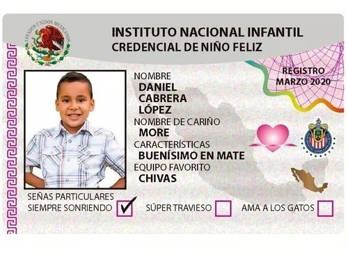 Credencial Tipo Ine Para Niños Y Niñas Impresos En Pvc