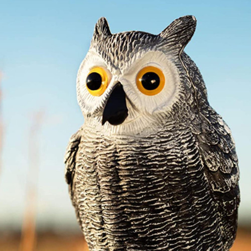 // Búhos Para Espantar Pájaros Búho Señuelo Ardillas