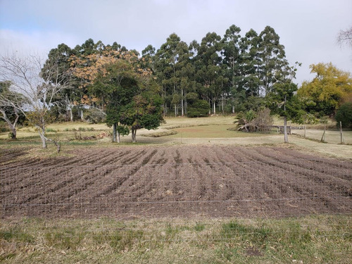 Imagen 29 de 30 de Chacra -excelente Chacra En Ruta 1 Prox Colonia!!!