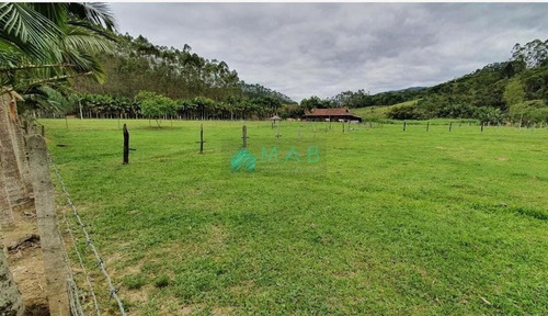 Imagem 5 de 30 de Fazenda À Venda, 7 Hectares Por R$ 1.700.000 - São Luiz - Apiúna/sc! - Fa0002