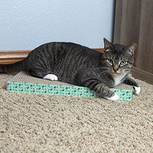 Kitty City Xl Raspadores Anchos Scratchers Bubble Window Gat