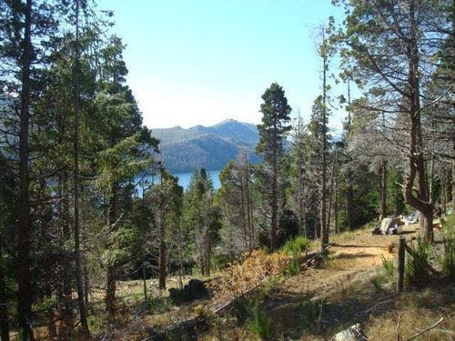 Imagen 5 de 20 de Terreno - Villa Mascardi
