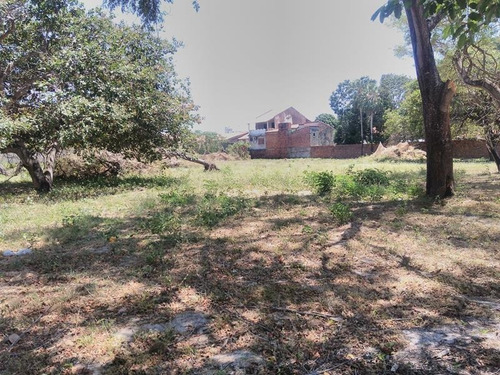 Imagem 3 de 4 de Terreno Para Alugar Na Cidade De Fortaleza-ce - L10416