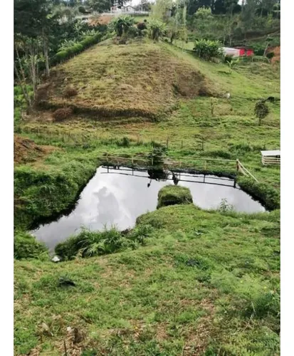 Finca En Venta, Vereda Chaparral, Guarne Antioquia