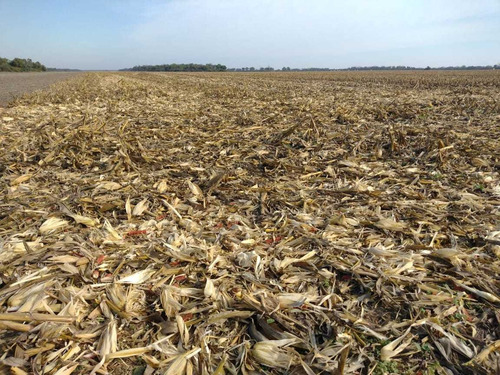 Imagen 5 de 14 de Sachayoj Campo Agrícola 1450 Hectáreas - Tope Gama