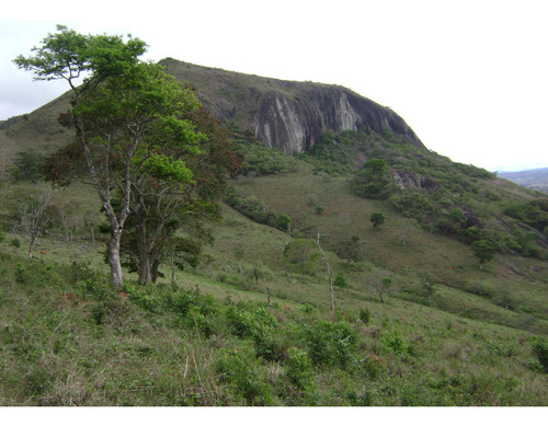Sítio Deslumbrante Com Água Própria E Vista Eterna