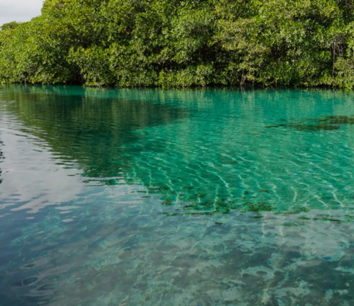 Macrolote Residencial En Preventa   Sierra Papacal, Yucatán