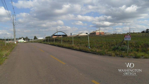 Imagem 1 de 7 de Terreno À Venda, 629 M² Por R$ 349.000,00 - Costeira - Araucária/pr - Te0190