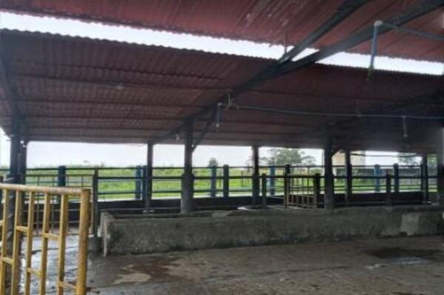 Imagen 7 de 8 de Finca Venta Rio Negro Municipio Machiques De Perija Mdm