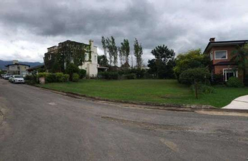 Imagen 3 de 7 de Lote | Yerba Buena