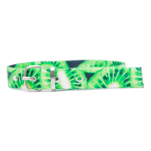 Collar Gato O Cachorro Kiwi