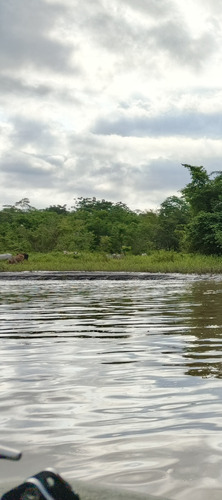 Finca Cienaga Del Opon