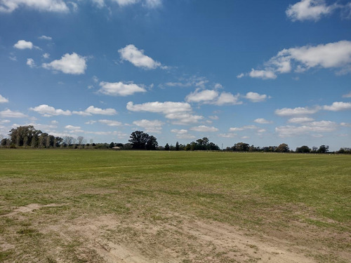 Imagen 7 de 30 de Campo En Venta Zona Polo, Pilar, Con 2 Canchas De Polo Y Varias Mejoras
