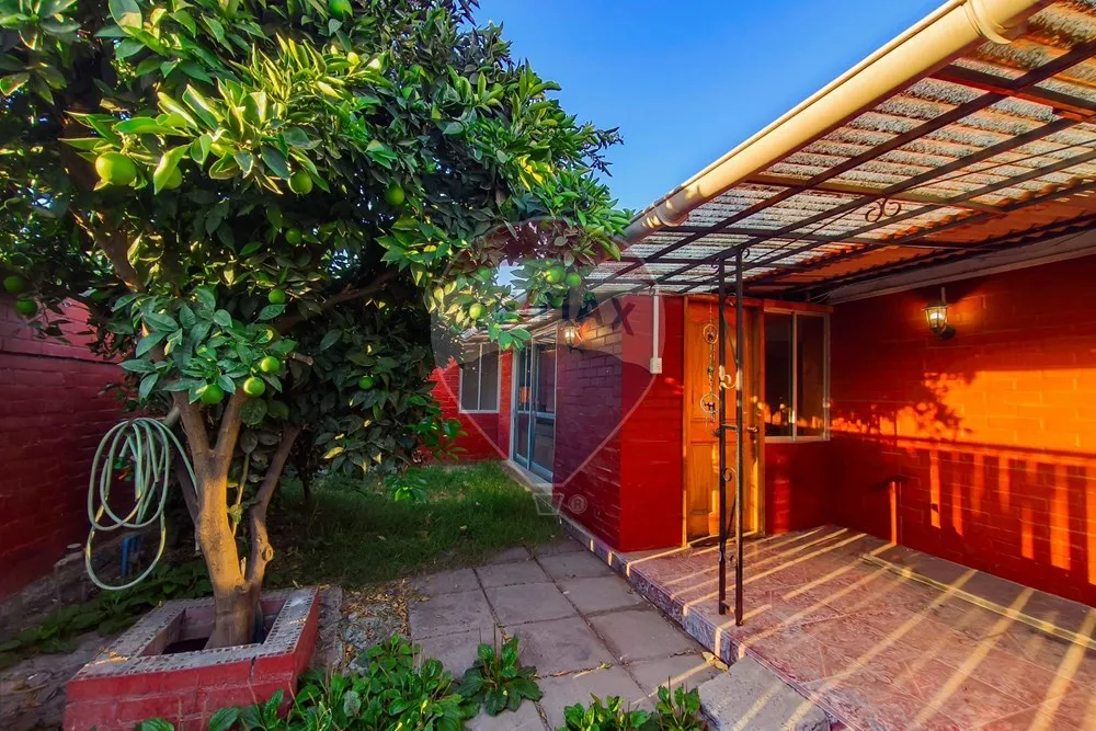 Imagen 2 de 22 de ¡encantadora Casa En El Bosque 3d+1b+1e!