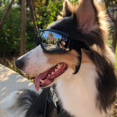 Qs1 Lentes De Moda Perros, Lentes De Sol Anti-uv