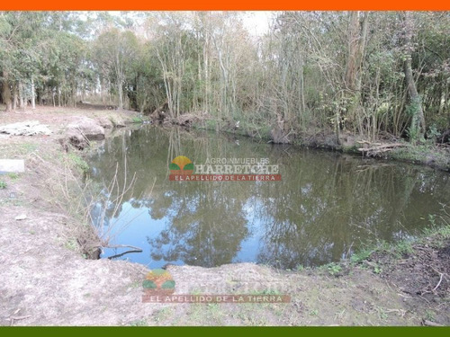 Imagen 19 de 22 de Chacra En Venta 3 Has Con Casa En El Colorado