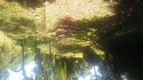 Imagem 3 de 15 de Chácara Para Venda Em São José Dos Pinhais, Colonia Murici - 50.230_1-1392071