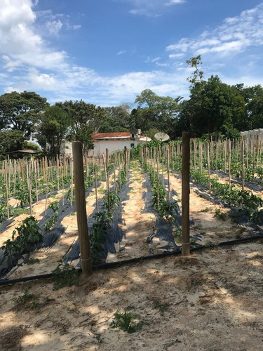 Chacara, 3.272 Mt, Com Duas Estufas E Poço Artesiano.