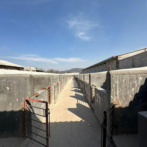 Magnífico Rancho Ganadero Con Excelentes Instalaciones Sup. 25 Hectáreas.