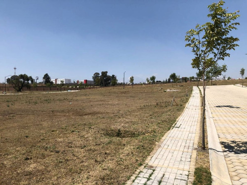 Imagen 3 de 11 de Venta De Lote Residencial Lomas De Angelópolis Ii, (parque Berna)