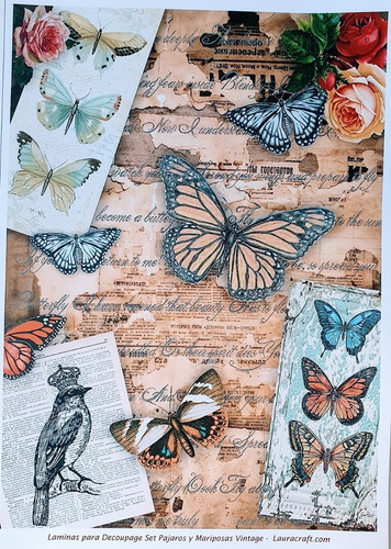 Decoupage Laminas Set Pajaro Y Mariposas Vintage Laura Craft