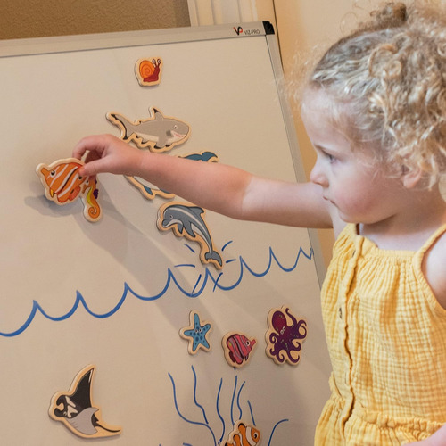 Spark Wow Magnets De Madera - Sea Life - Juego De 20 - Imane