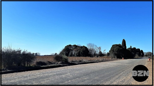 Imagen 5 de 8 de Campo 4 Hectareas En Arrecifes.