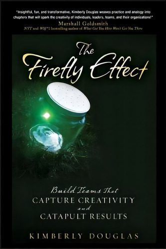 The Firefly Effect : Build Teams That Capture Creativity And Catapult Results, De Kimberly Douglas. Editorial John Wiley & Sons Inc, Tapa Dura En Inglés