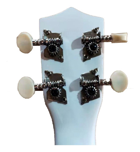Imagen 4 de 10 de Ukelele Soprano Dakota De Madera Colores Funda + Regalos