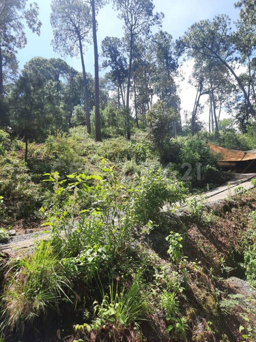 Terreno En Venta, Fontana Zarca.