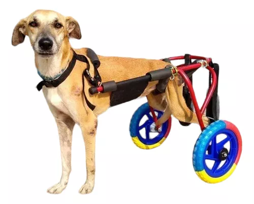  Silla de ruedas para perro, carrito ajustable para mascotas,  silla de ruedas ajustable para perros con cuatro ruedas para rehabilitación  de piernas, carrito de rehabilitación paralizado para mascotas, : Productos  para