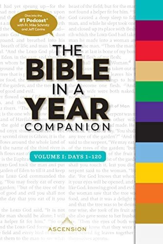 Book : The Bible In A Year Companion, Volume I - Fr. Mike..