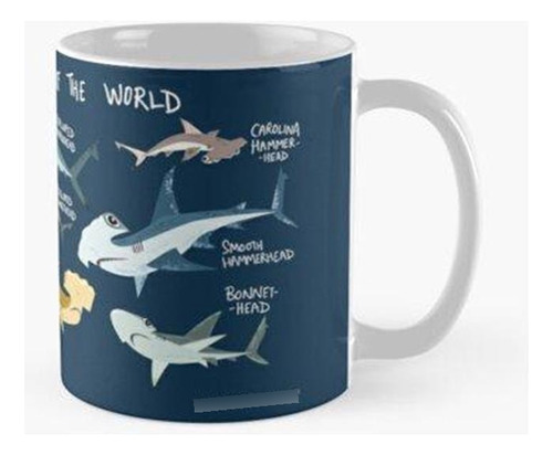 Taza Tiburones Martillo Del Mundo Calidad Premium