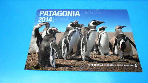 Almanaque Patagonia Del Año 2014 Ediciones Patrian