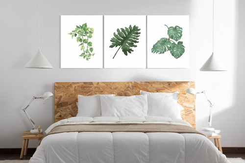 Cuadros Decorativos Plants A4 Pack | Vinilo Design