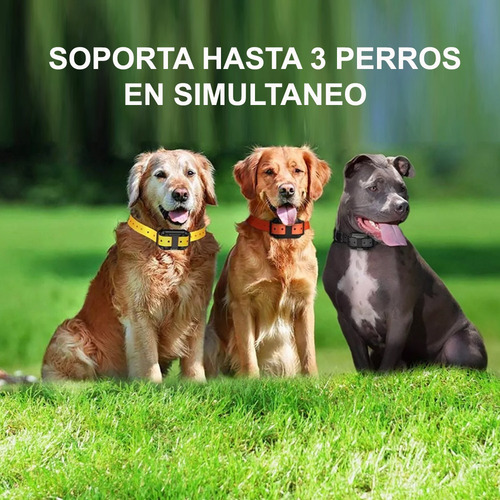 Imagen 2 de 9 de Collar Antiladrido Adiestramiento Perro Vibracion Sonido
