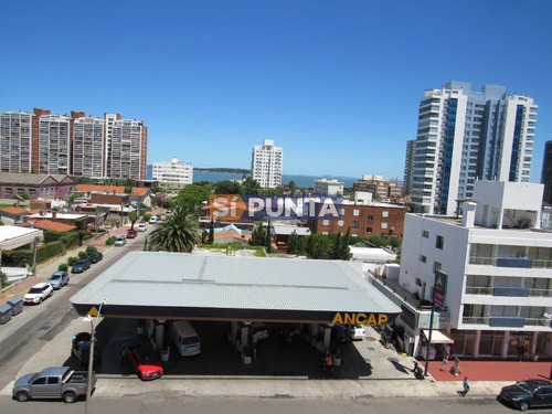 Apartamento En Punta Del Este, Brava