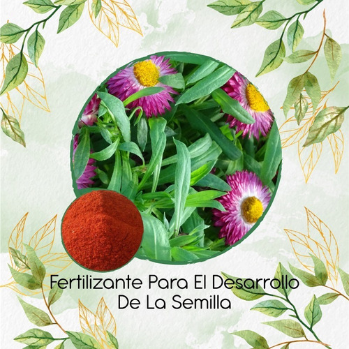 Fertilizante Para El Desarrollo De Flor Prodigiosa