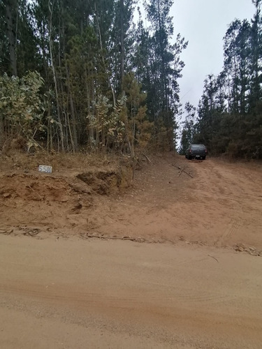 Imagen 4 de 4 de Maravillosa Propiedad, Sector Alto Del Durazno 22,5hectareas