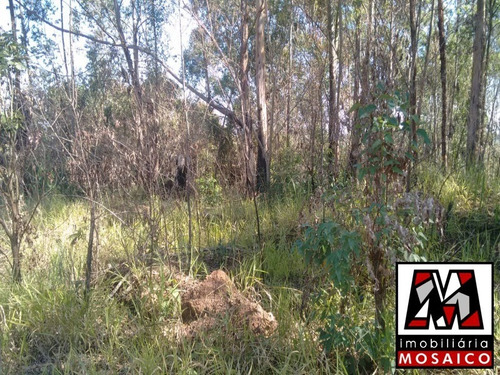 Imagem 9 de 9 de Venda Ou Permuta Com Casa Ou Apartamento. - 40183 - 33577519
