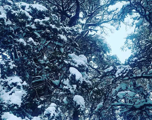 Tu Refugio En La Naturaleza! Parcela A Minutos De Pucón
