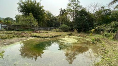 Imagem 3 de 9 de Chácara Com Lago Para Criação De Peixes, Em Peruíbe, No Bairro Parque Serra Mar, Analisa Entrada Mais Parcelas Ref: 8593/ac
